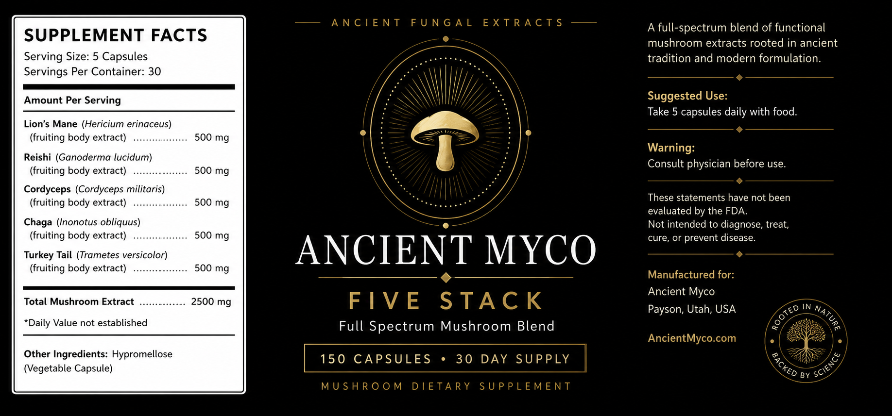 Five Stack