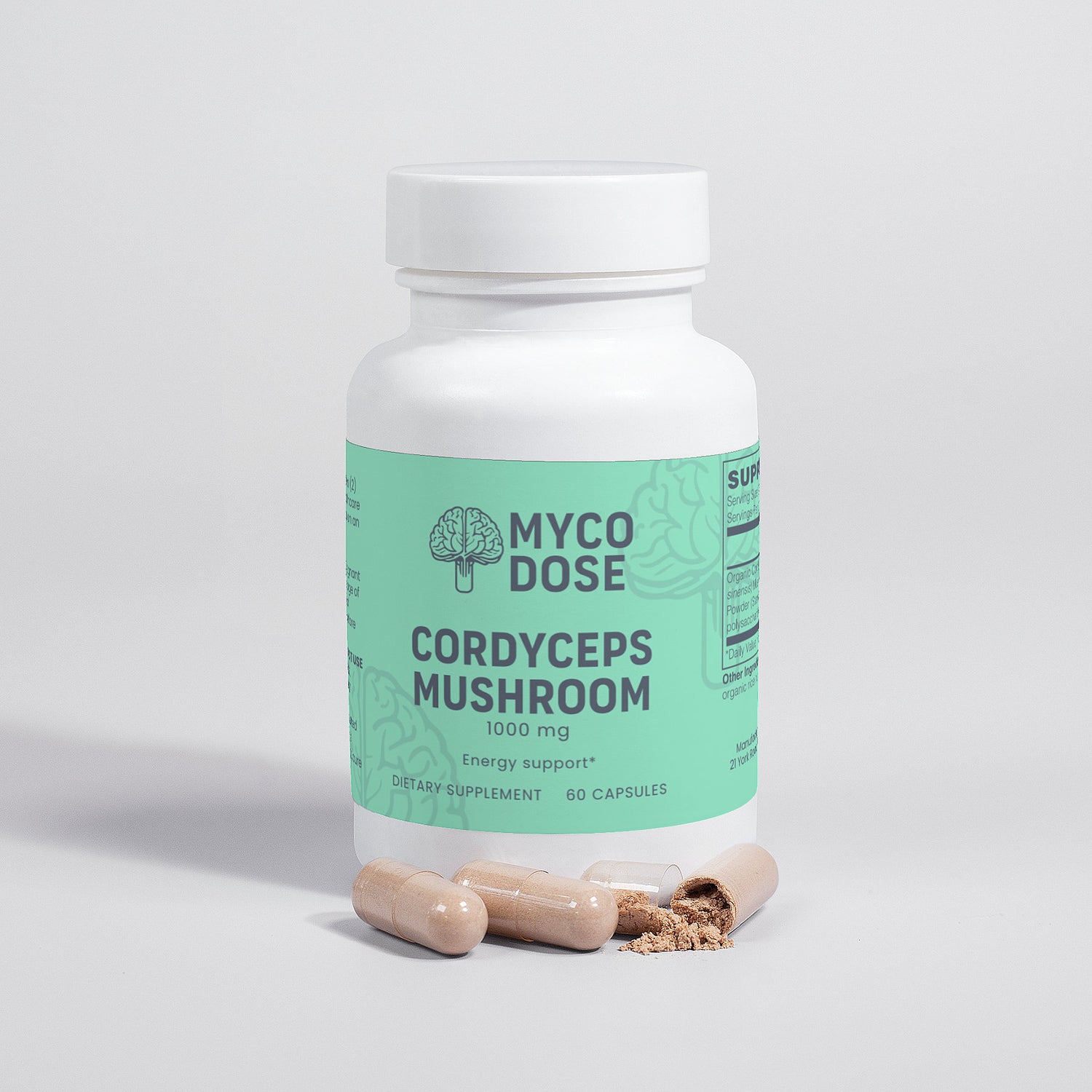 Cordyceps Mushroom